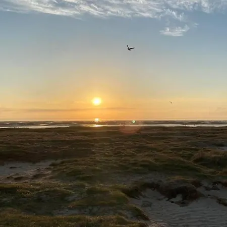 Gammelt Mando Hus Hyggebo Daire *