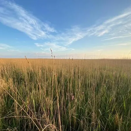 Daire Gammelt Mando Hus Hyggebo