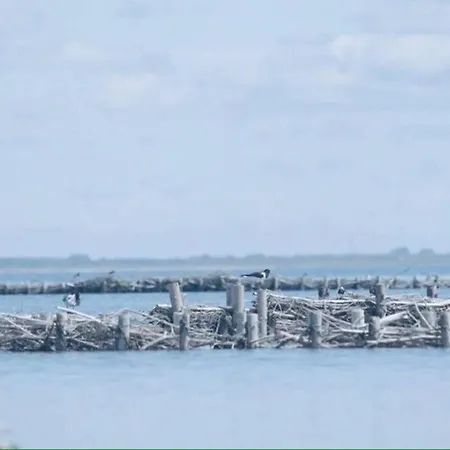 Daire Gammelt Mando Hus Hyggebo Ribe